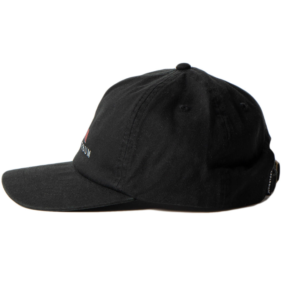 APPLEBUM ( アップルバム ) UTOPIA LOGO CAP キャップ