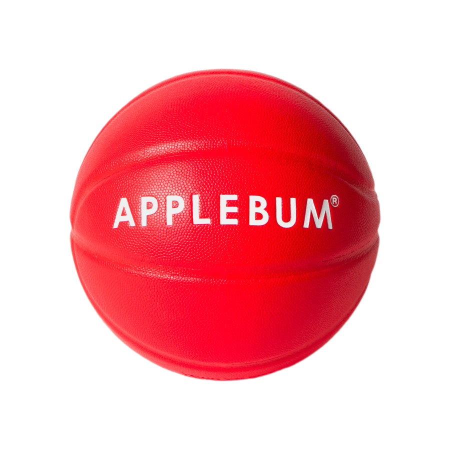 APPLEBUM × TACHIKARA (アップルバム) CUSTOM BASKETBALL “R.E.D.