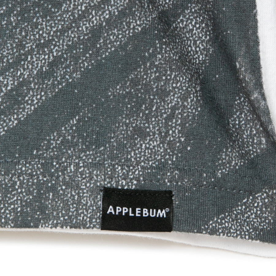 APPLEBUM ラグランTシャツ ピスネーム 裾