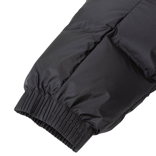 THE NORTH FACE ( ザ・ノース・フェイス ) ウインドストッパー ヌプシフーディ ゴアテックス ダウンジャケット
