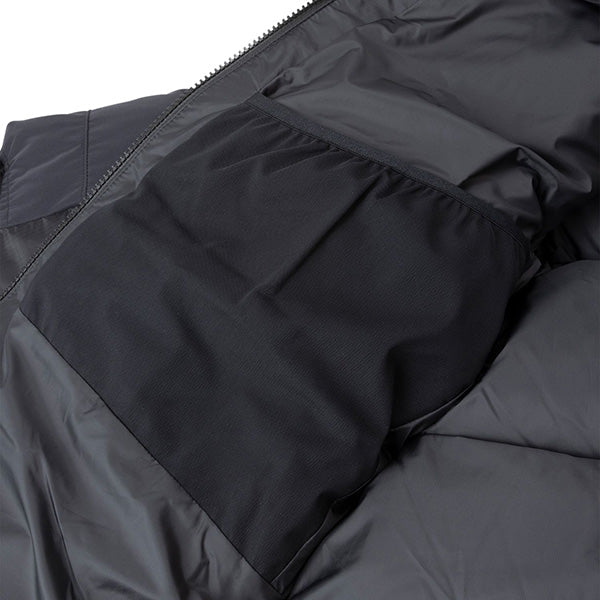 THE NORTH FACE ( ザ・ノース・フェイス ) ウインドストッパー ヌプシフーディ ゴアテックス ダウンジャケット
