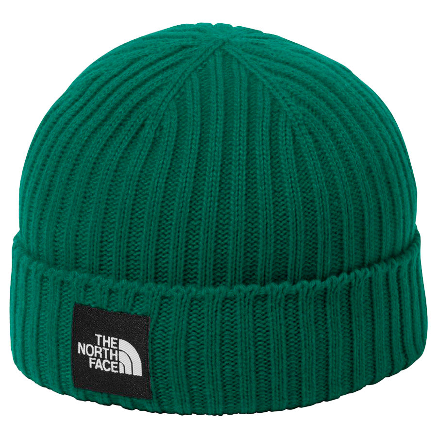 THE NORTH FACE ( ザ・ノース・フェイス ) Cappucho Lid カプッチョリッド ニットキャップ