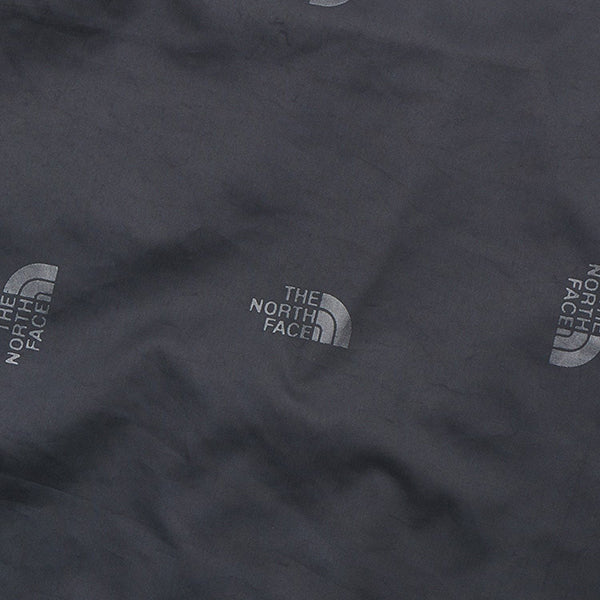 THE NORTH FACE ( ザ ノースフェイス ) Mountain Light Jacket