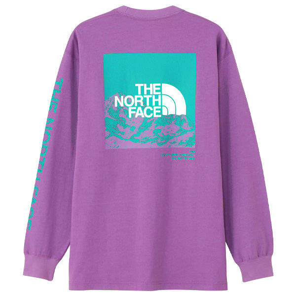 THE NORTH FACE ( ザ・ノース・フェイス ) ロングスリーブスリーブグラフィックティー ロンT
