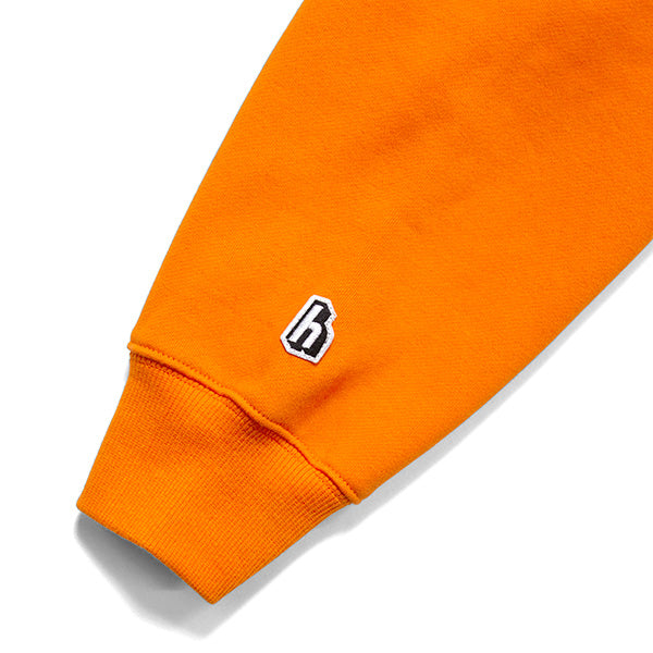 Core Logo Hoodie "NEW COLOR"