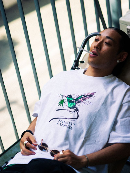 HAIGHT 2025 SPRING / SUMMER SPOT COLLECTION
