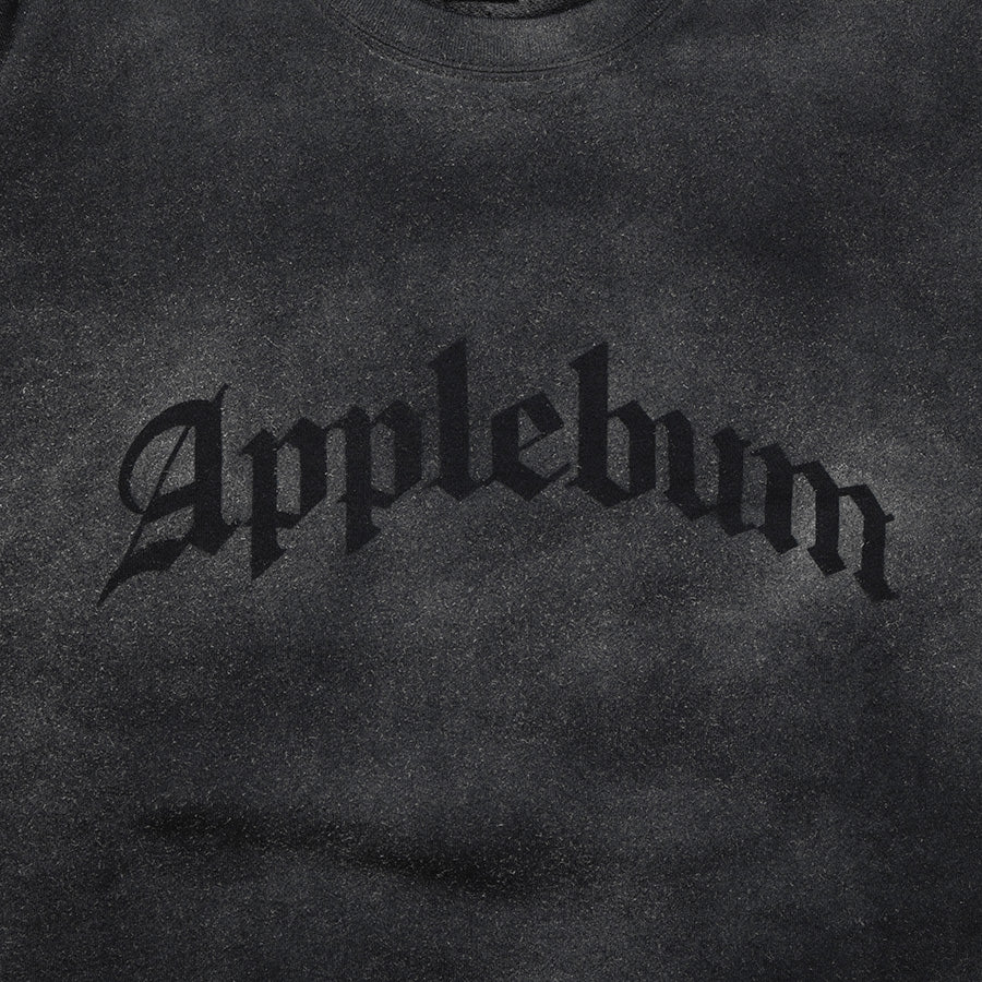 APPLEBUM ( アップルバム ) AIRBRUSH CREW SWEAT クルーネック スウェット