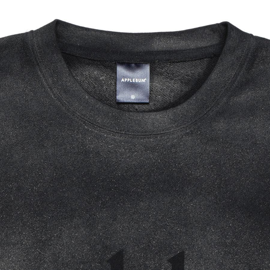 アップルバム スウェット APPLEBUM AIRBRUSH CREW SWEAT メンズ