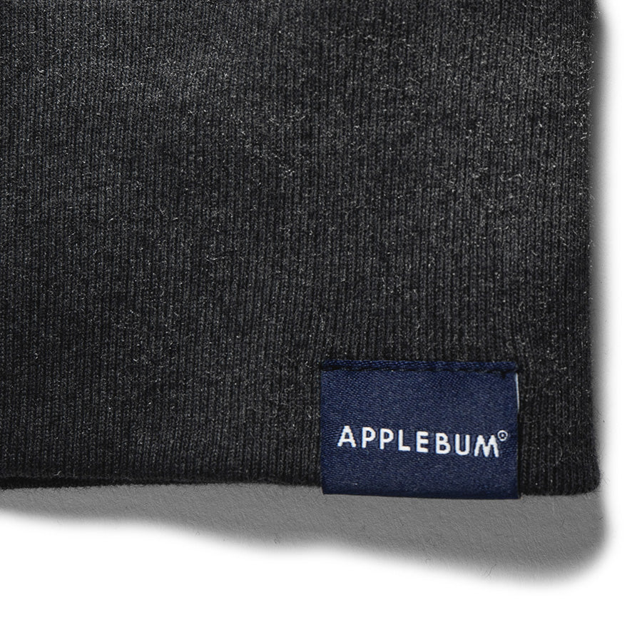 APPLEBUM ( アップルバム ) AIRBRUSH CREW SWEAT クルーネック スウェット