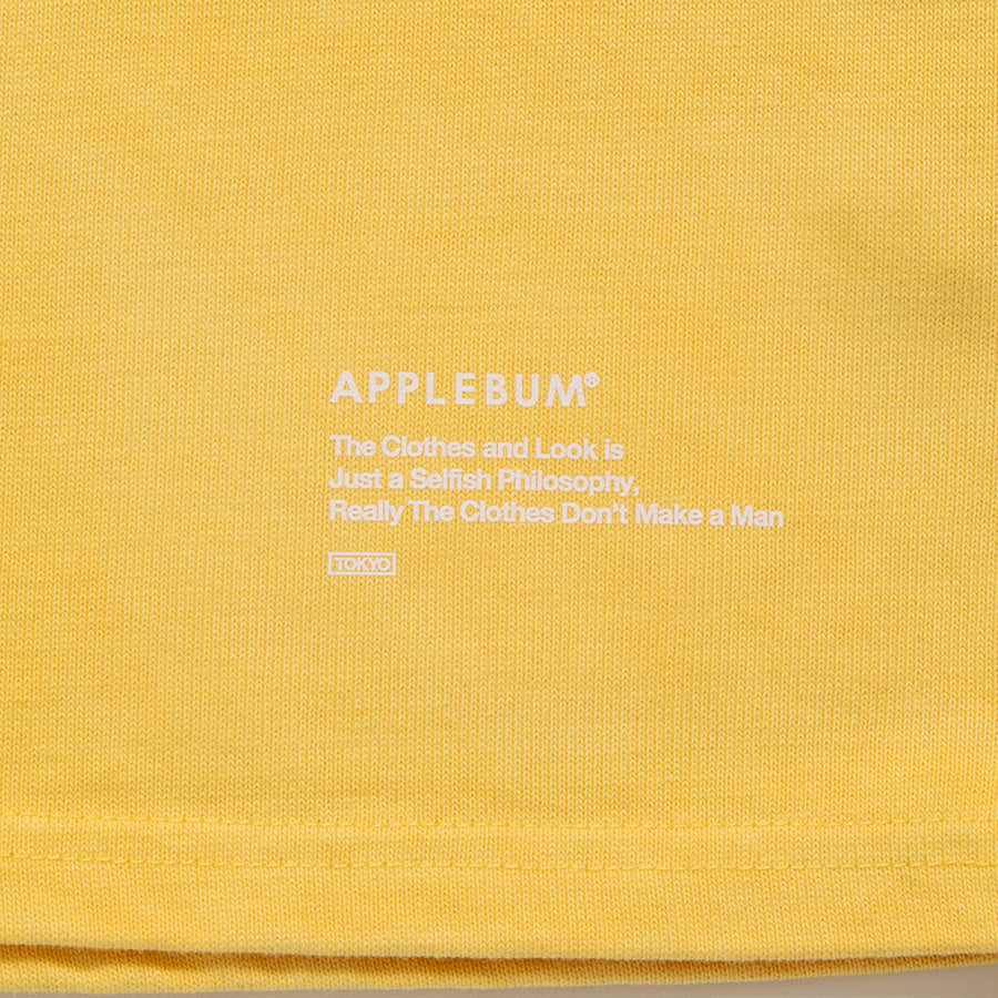 AppleDesigh1997-2011 日本語版　初版　帯付き AppleDesigh1997-2011 日本語版 初版 帯付き