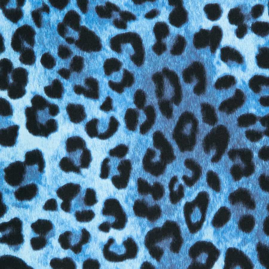 APPLEBUM（アップルバム）Leopard Coach Jacket レオパード コーチジャケット イエロー ブルー 2610606