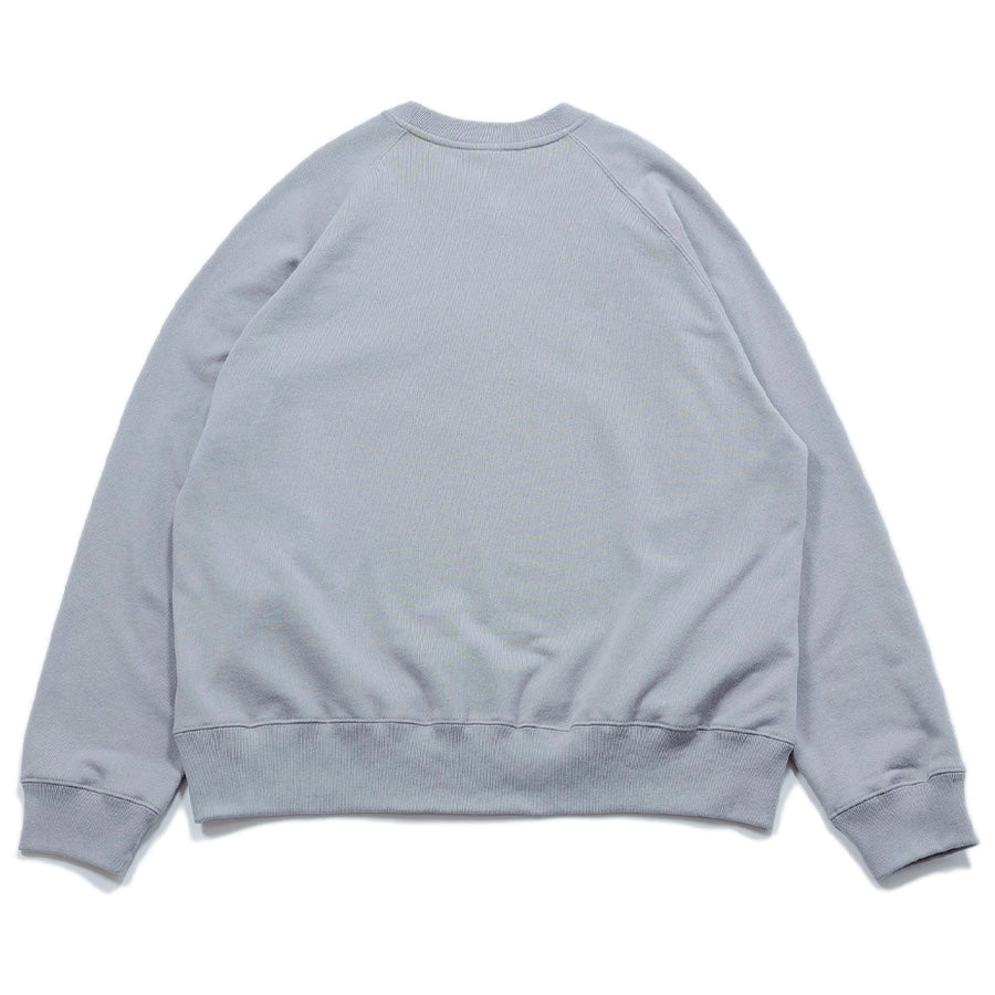 APPLEBUM クルースウェット グレー 背面