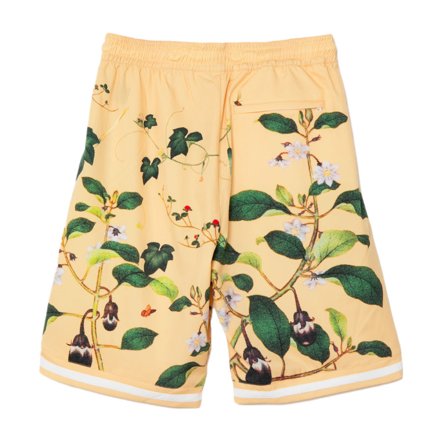 APPLEBUM Edo Botanical Hoopers Shorts マルチカラー 背面