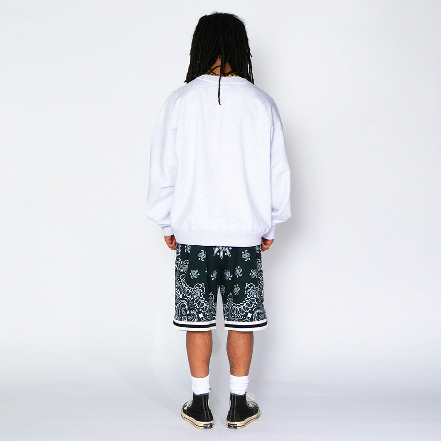 APPLEBUM クルースウェット アッシュ 着用 後ろ
