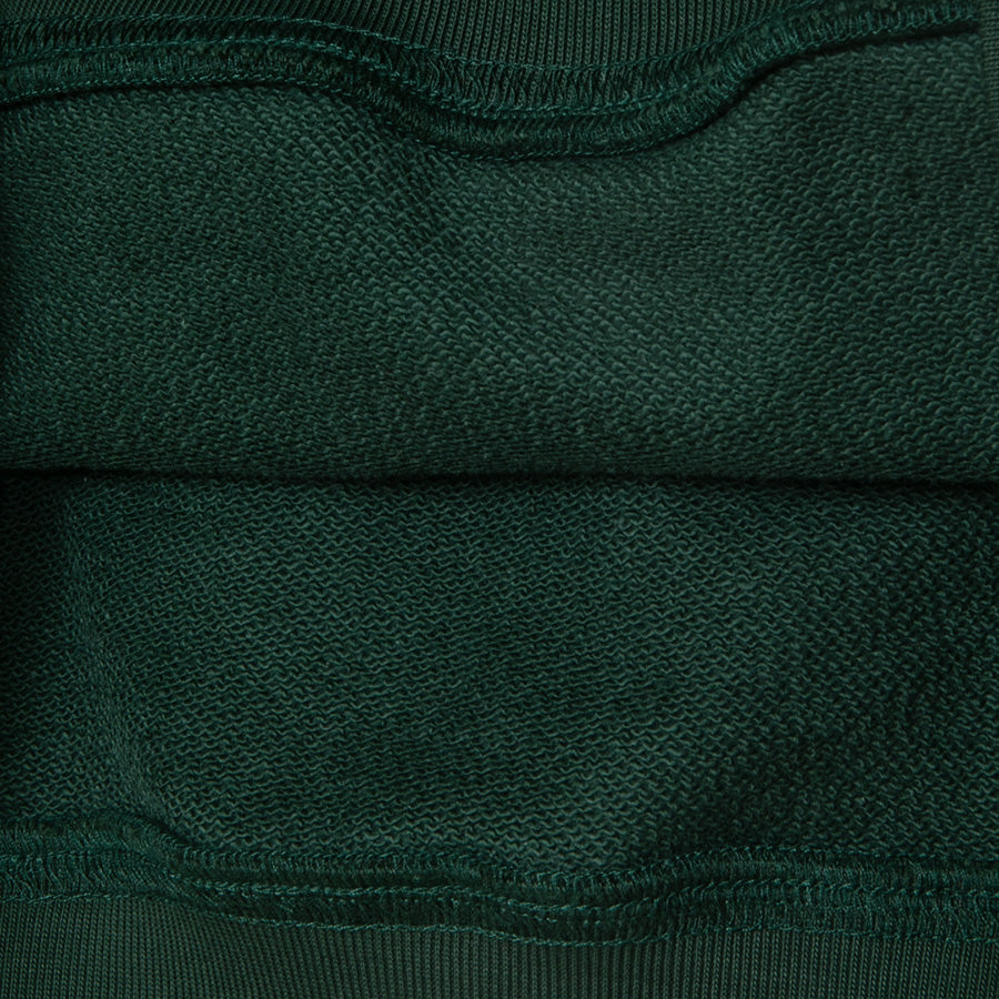 APPLEBUM LOGO EMBROIDERY HOODIE パーカー グリーン コットン裏パイル生地 2620409