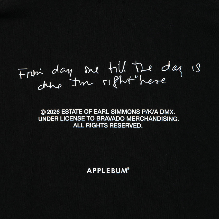 APPLEBUM NEON PHOTO T-SHIRT ブラック バックプリント詳細 DX2621101