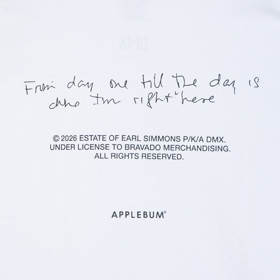 APPLEBUM NEON PHOTO T-SHIRT ホワイト バックプリント詳細 DX2621101