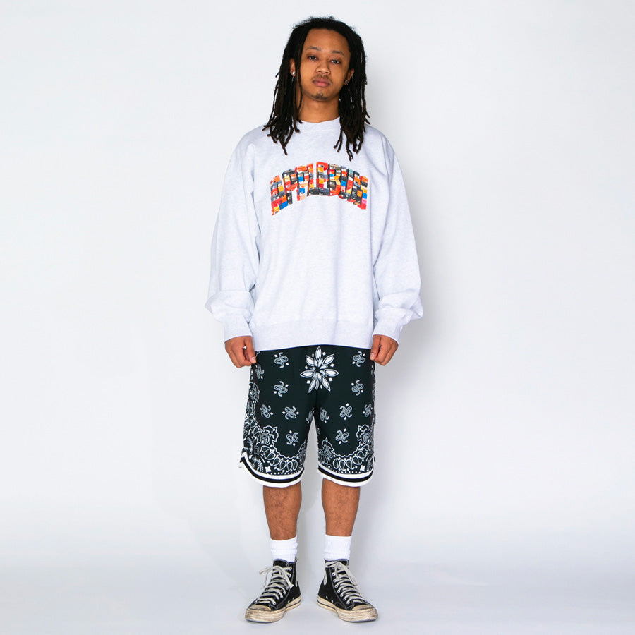 APPLEBUM Paisley Hoopers Shorts ブラック モデル着用 正面