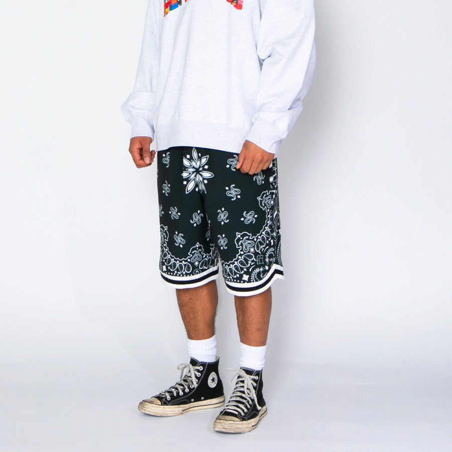 APPLEBUM Paisley Hoopers Shorts ブラック モデル着用 左斜め