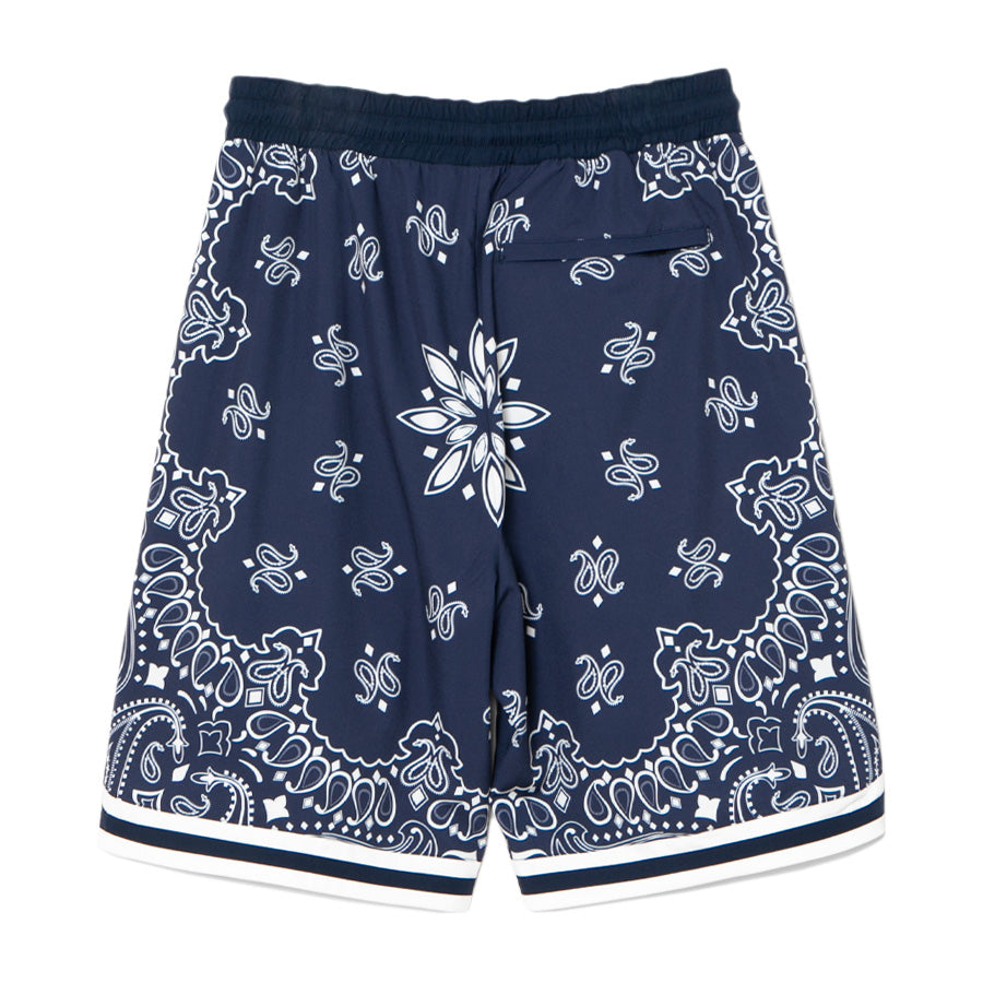 APPLEBUM Paisley Hoopers Shorts ネイビー 背面