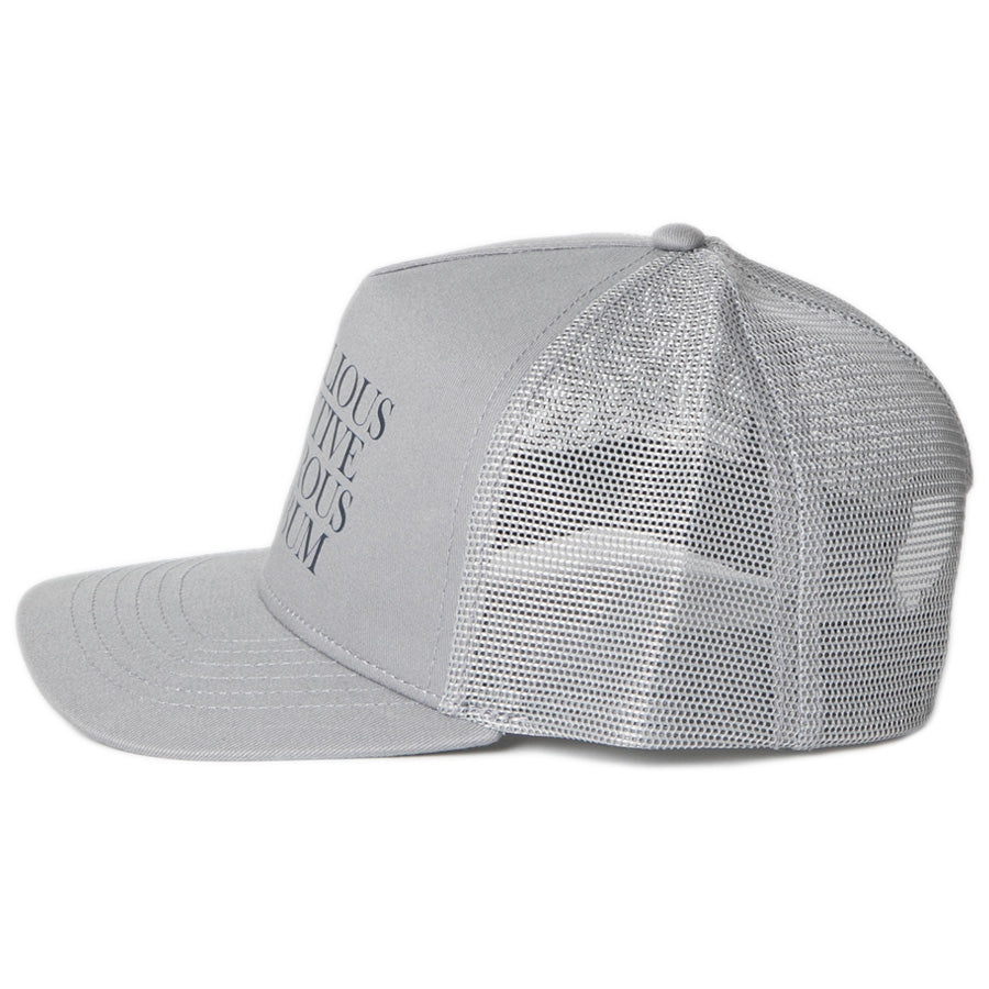 APPLEBUM PHILOSOPHY Mesh Cap メッシュキャップ グレー 左側 HS2611104