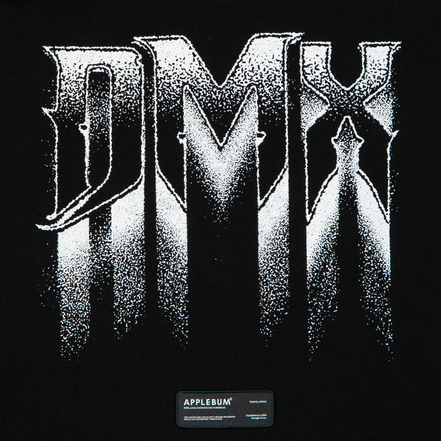 APPLEBUM（アップルバム）PHOTO T-SHIRT ブラック DMXバックプリント詳細 DX2621103