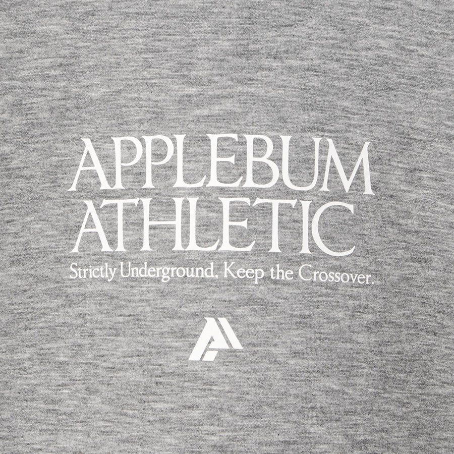 APPLEBUM SHOW AND PROVE フロントロゴ グレー