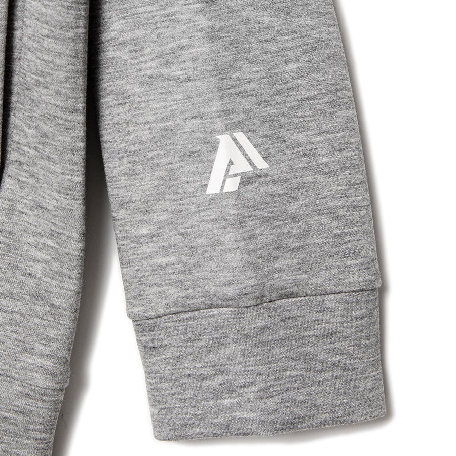 APPLEBUM 袖ロゴ SHOW&PROVE グレー