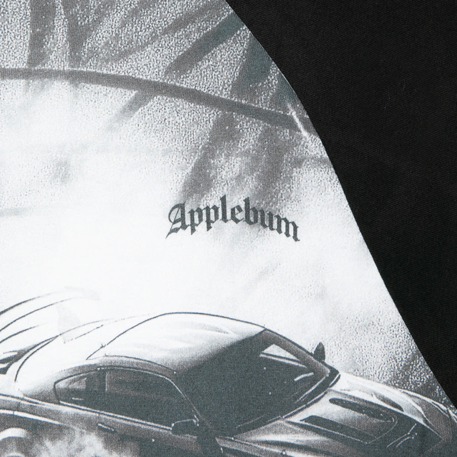 APPLEBUM ラグランTシャツ ロゴプリント 左胸