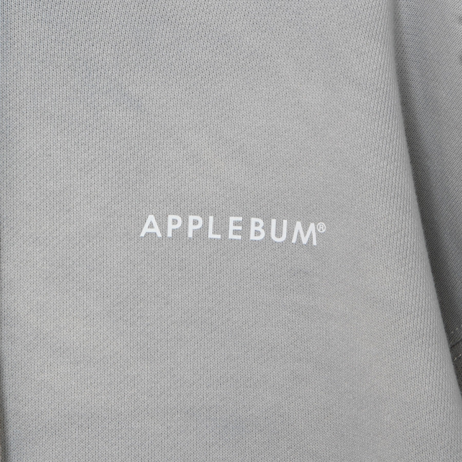 APPLEBUM TIEDYE HOODIE パーカー グレー 左胸 ワンポイントロゴプリント 2620412