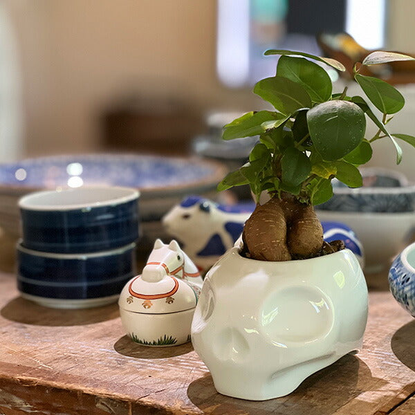 HAIGHT ( ヘイト ) NEW SCHOOL SKULL "ARITAYAKI" PLANT POT 植木鉢 陶器 HTHP-227001