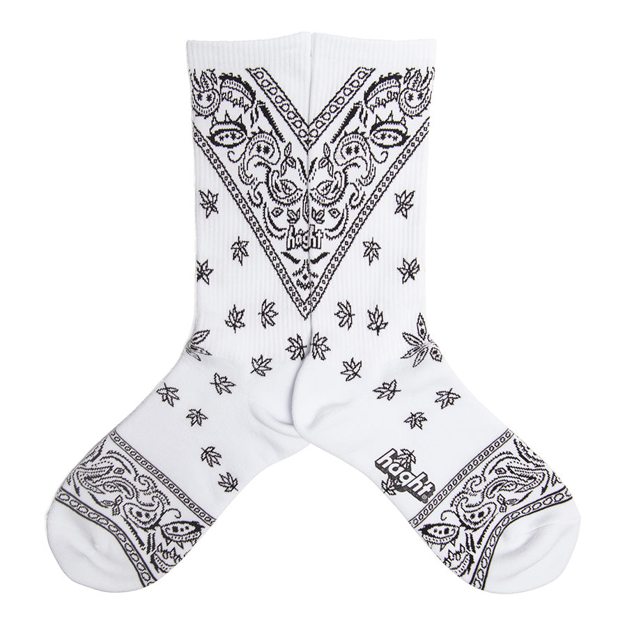 HAIGHT ( ヘイト ) × YARZ PAISLEY SOCKS コラボレーション