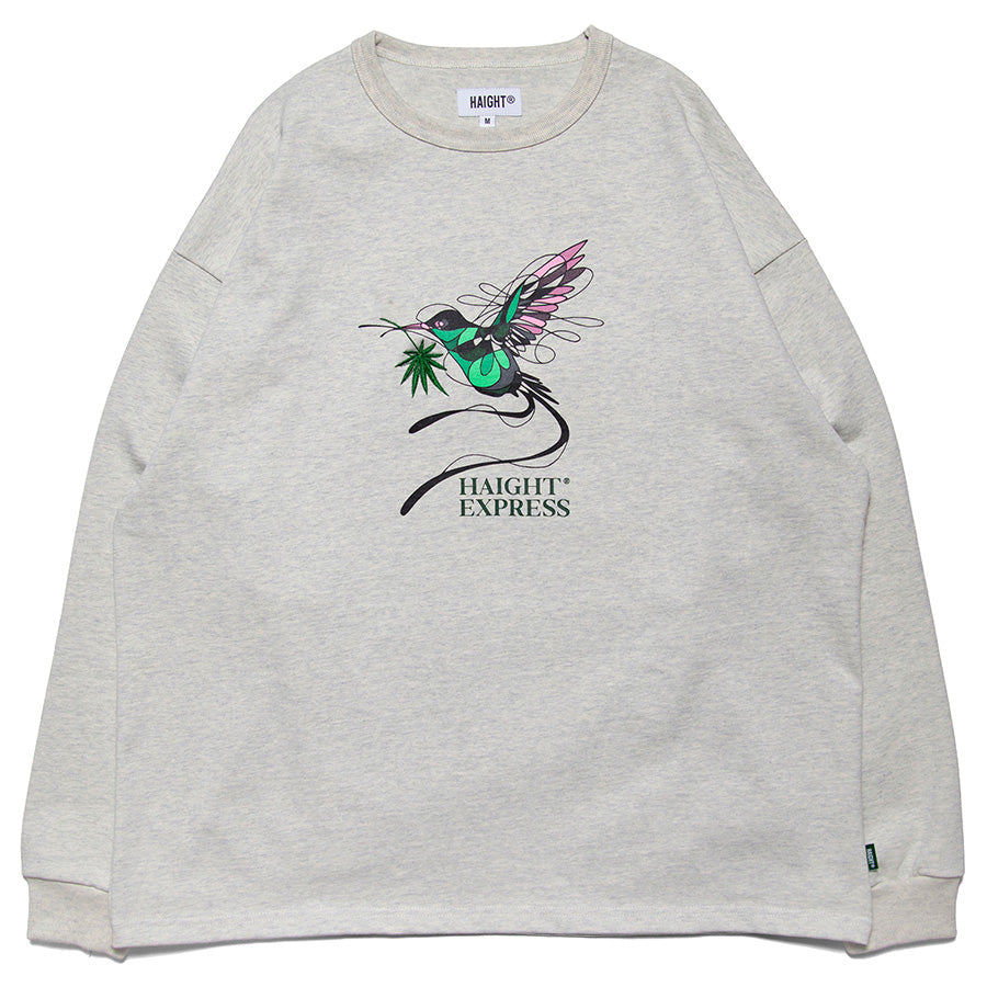 HAIGHT ( ヘイト ) EXPRESS HEAVY LS Tee ft. New School Art ロングスリーブTシャツ ヘビーオンス HTHP-251001 26SS
