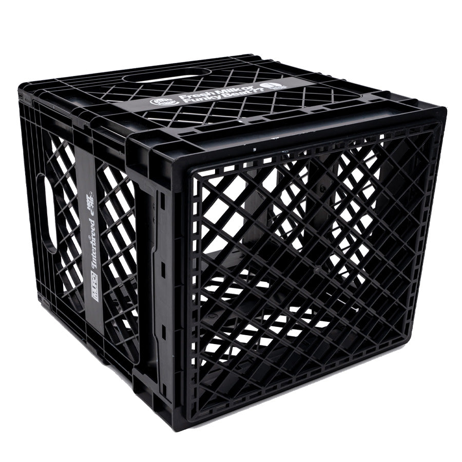 INTERBREED × KING OF DIGGIN' ( インターブリード ) Fresh