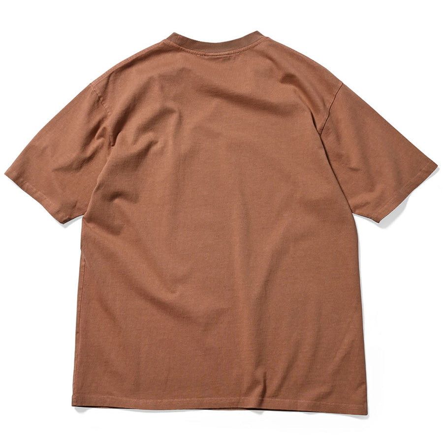 レア☆llica 元ネタ Helvetia Tシャツ LFYT エルエフワイティー PIGMENT DYED INFAMOUS LOGO TEE T