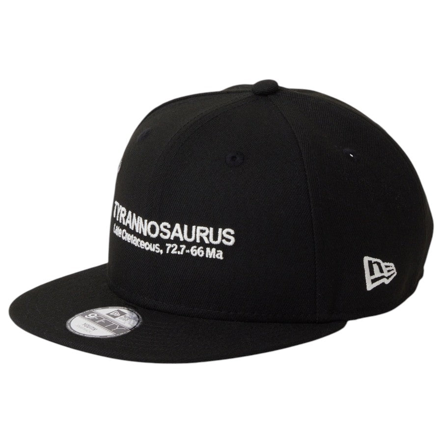 NEW ERA ティラノサウルスキャップ 左斜めデザイン