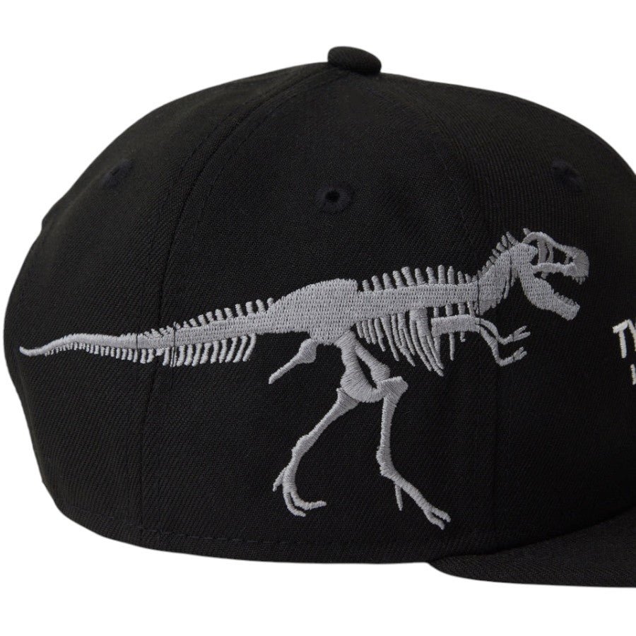 NEW ERA ティラノサウルス刺繍アップ ディテール