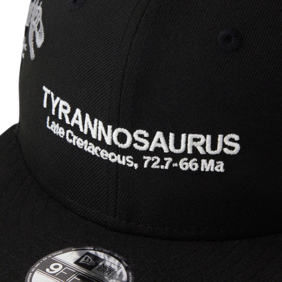 NEW ERA フロントロゴ刺繍 ティラノサウルス詳細