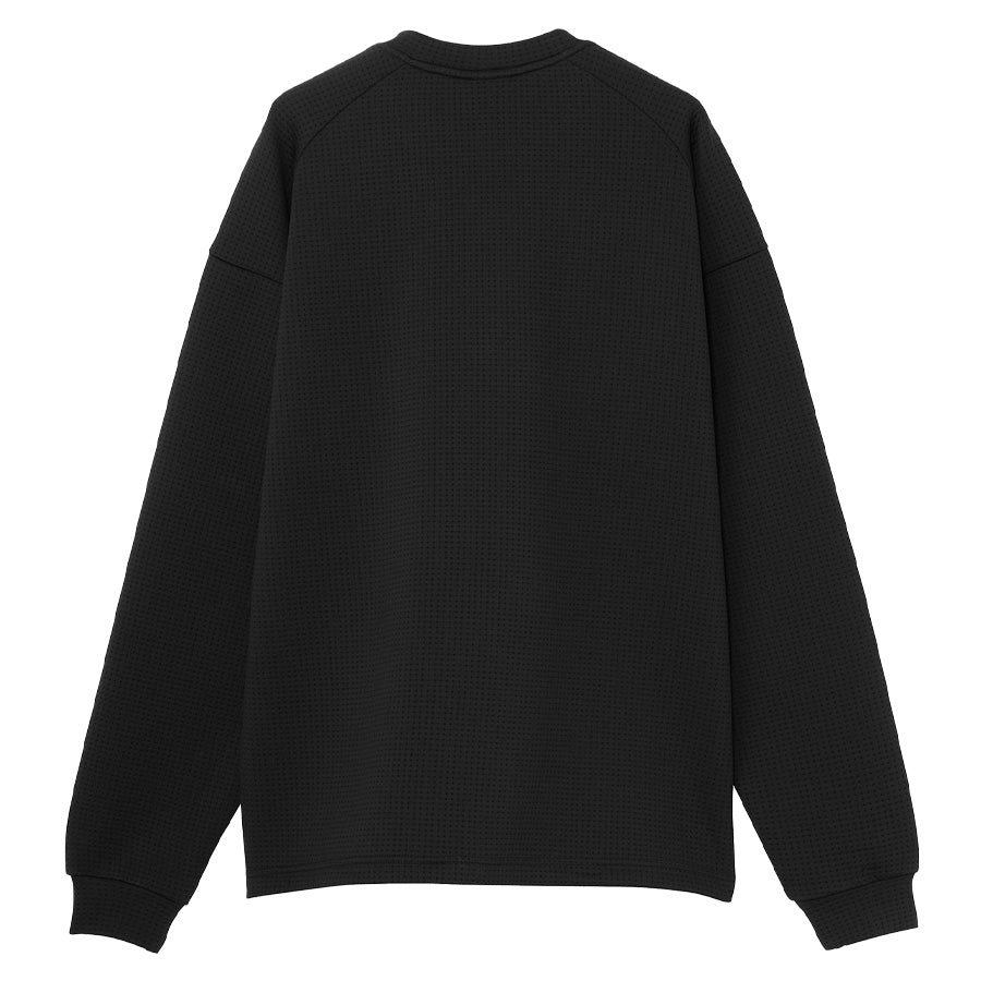 THE NORTH FACE（ザ・ノース・フェイス）ドットニットクルー 背面