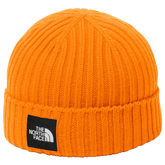 THE NORTH FACE ( ザ ノースフェイス ) Cappucho Lid カプッチョリッド ニットキャップ