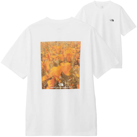 ホワイト / W